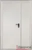 Техническая дверь ДТ2