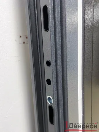 Входная дверь Термо Ш1