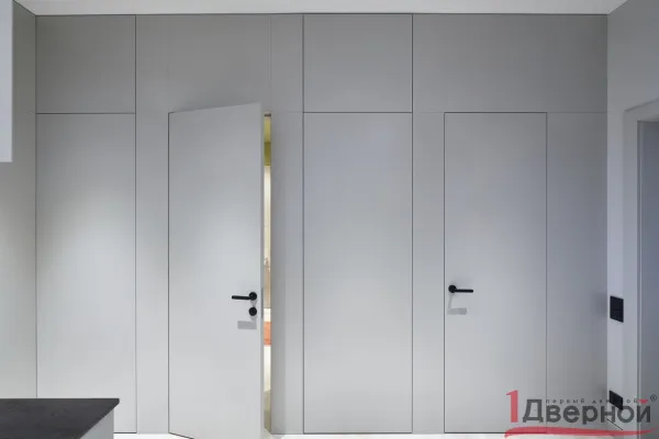 Скрытая дверь Invisible реверс (кромка с 4х сторон анод серебро)