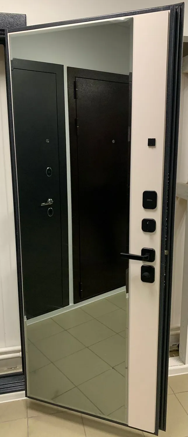 Входная дверь Корсика Зеркало Графит