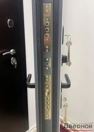 Входная дверь Термо Ш1