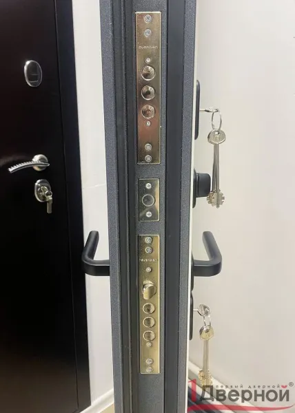 Входная дверь Термо Ш1