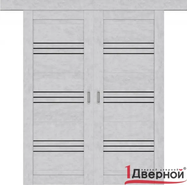 Раздвижная межкомнатная дверь D-31