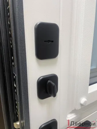 Входная дверь Термо Ш1