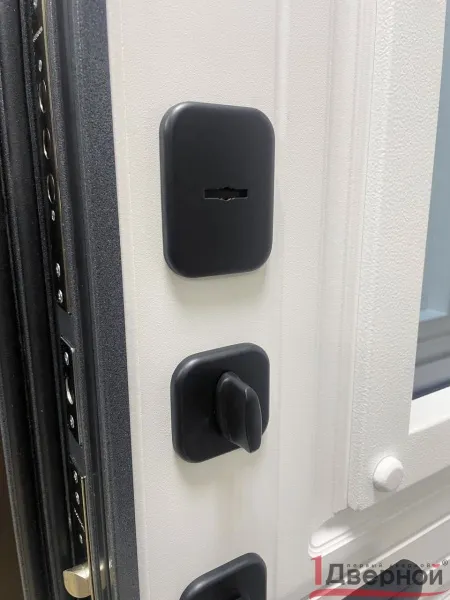 Входная дверь Термо Ш1