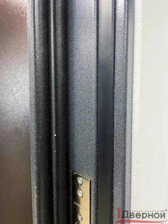 Входная дверь Термо Ш1