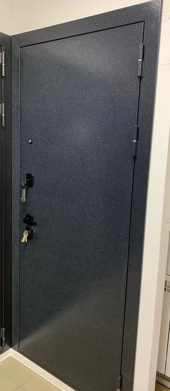 Входная дверь Корсика Зеркало Графит