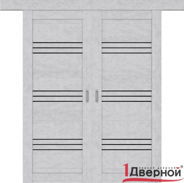 Раздвижная межкомнатная дверь D-31